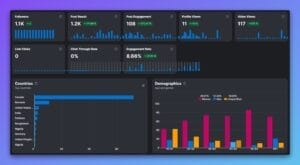 Publer social media analytics