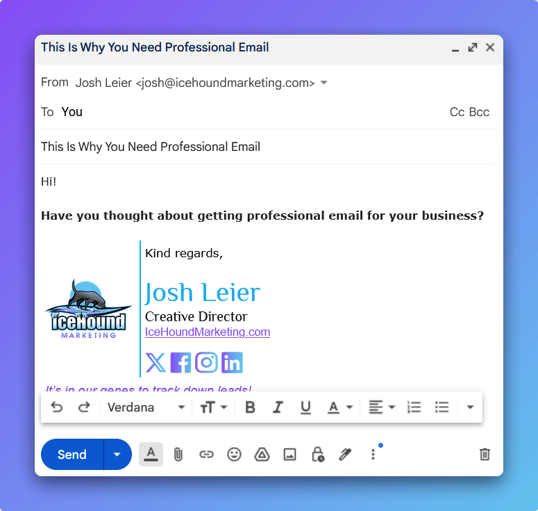 Why you need professional email example